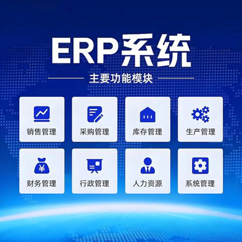 ERP系统定制:企业成长的新引擎